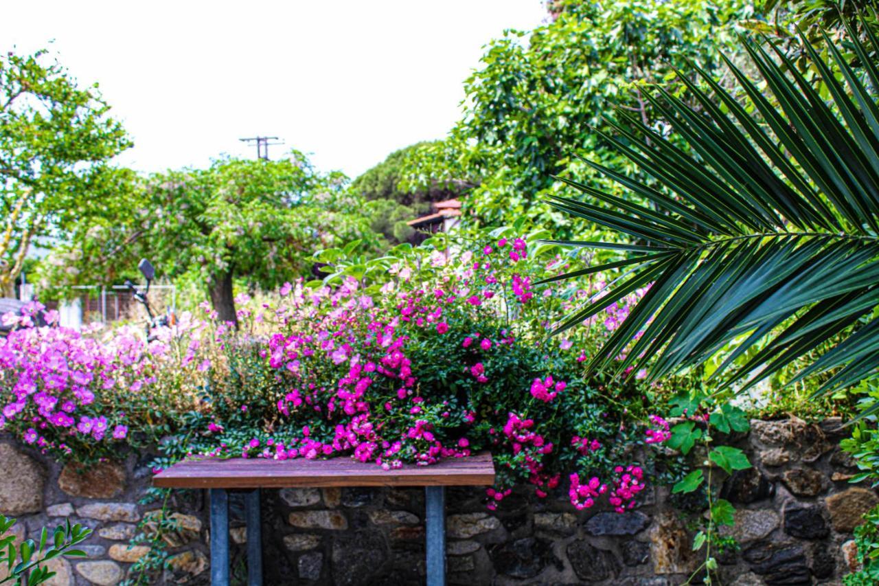 Theano Studios Paralia Sikias Exterior foto